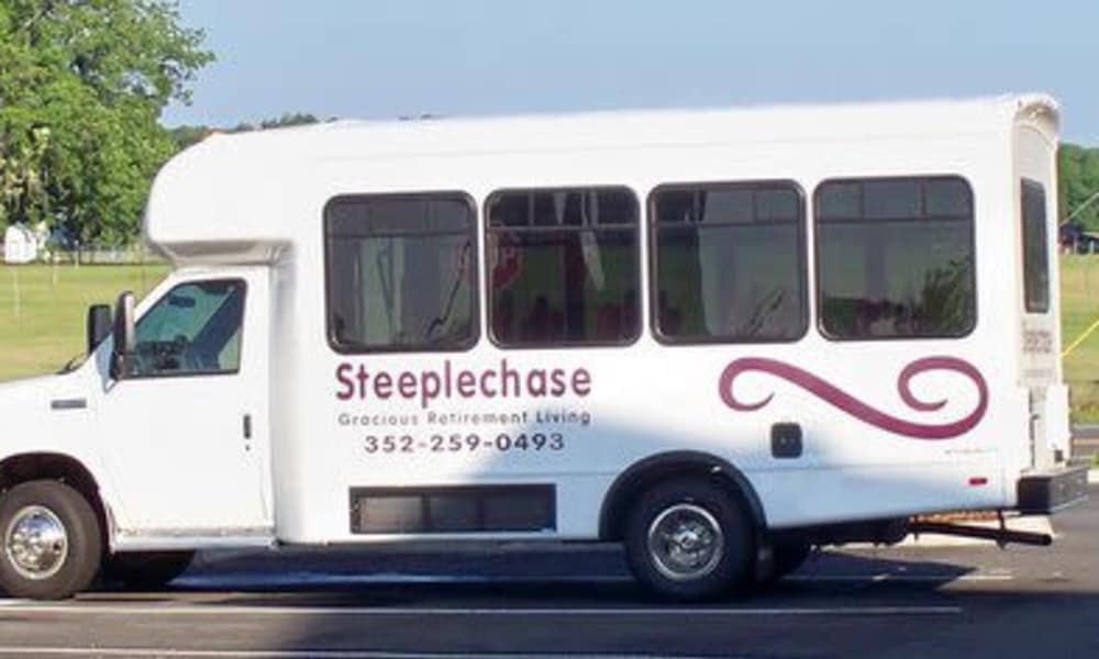 Steeplechase community photo